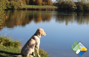 Here is why it is important to keep your waterfront clean.