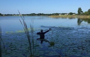 Is aquatic herbicide spraying safe for my waterfront?