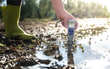 New Website to Help Monitor Florida Water Quality.