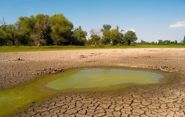 Spring 2017 Florida Drought Forecast.