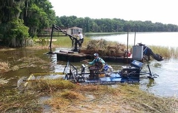 Waterfront cleanup is not a DIY job and here's why.