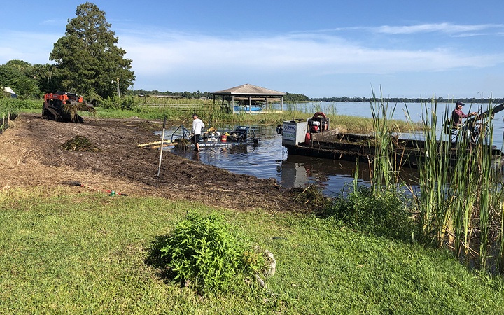 Waterfront Cleanup Action